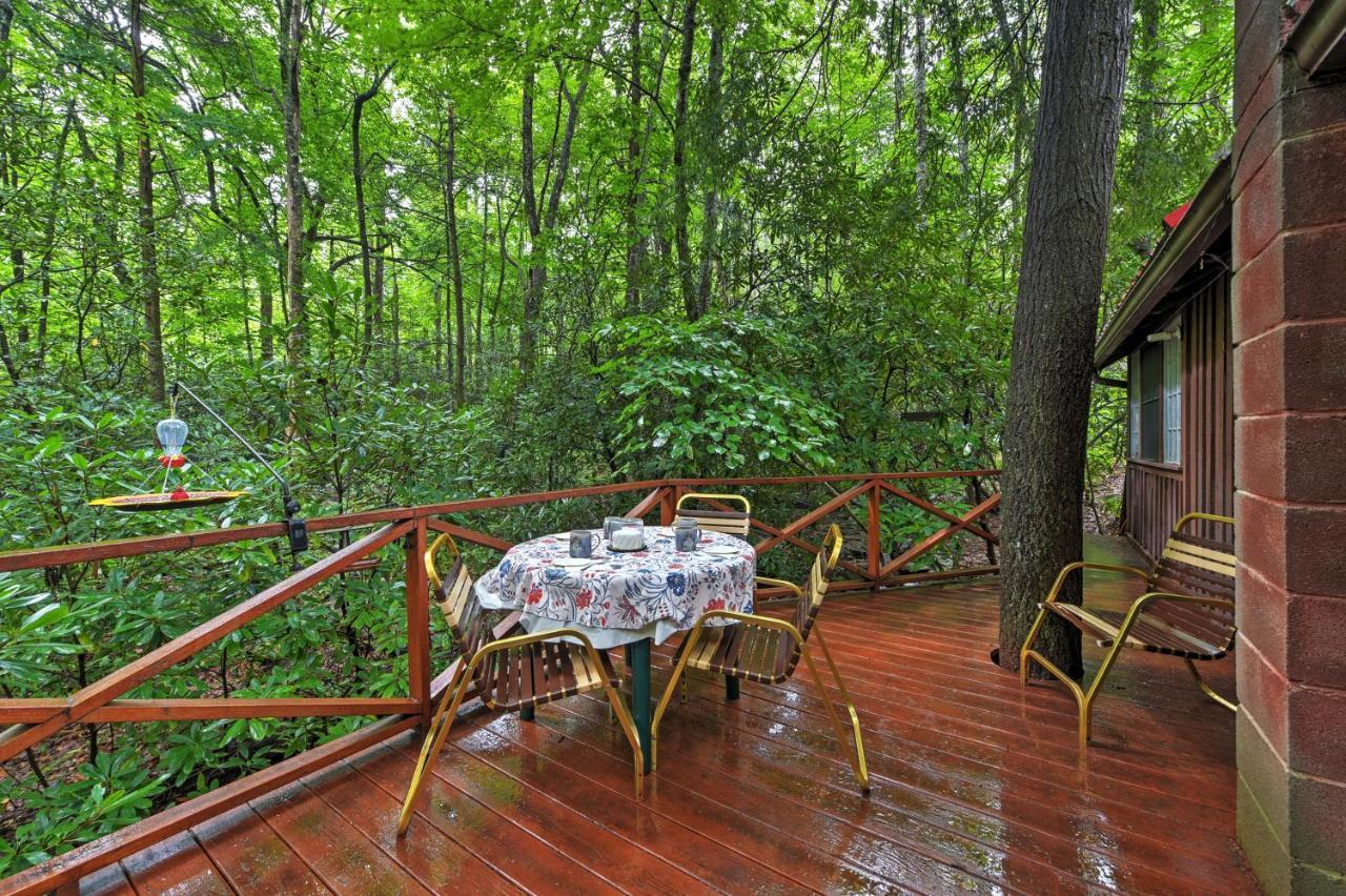 Serene Creekside Cottage Near Asheville Fire Pit Candler Buitenkant foto
