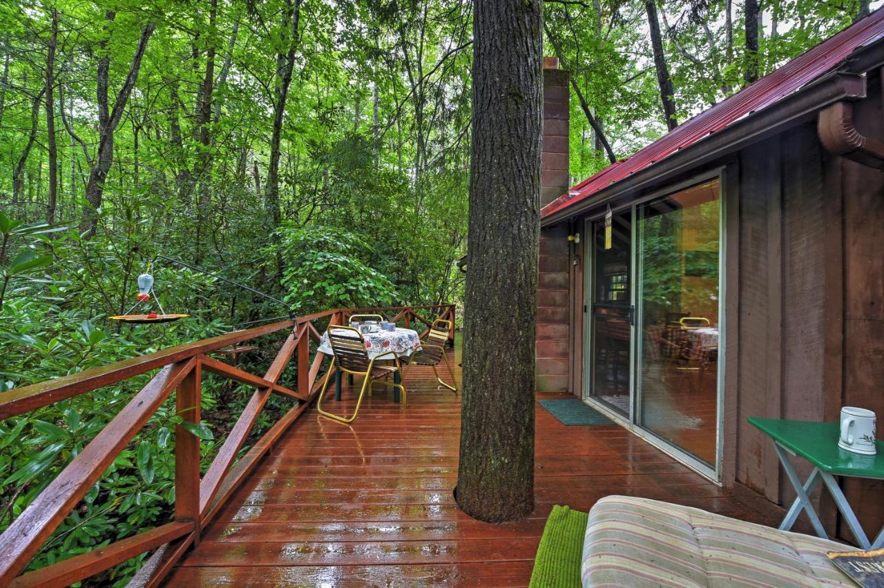 Serene Creekside Cottage Near Asheville Fire Pit Candler Buitenkant foto